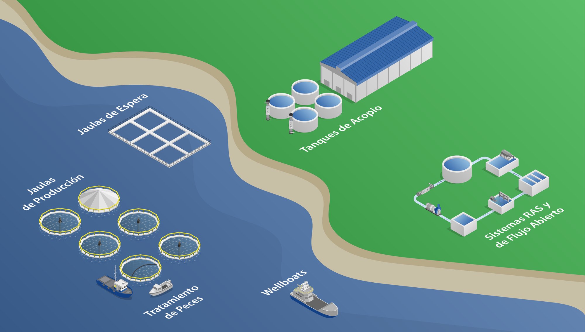 Aquaculture Flowchart V7 Spanish-01