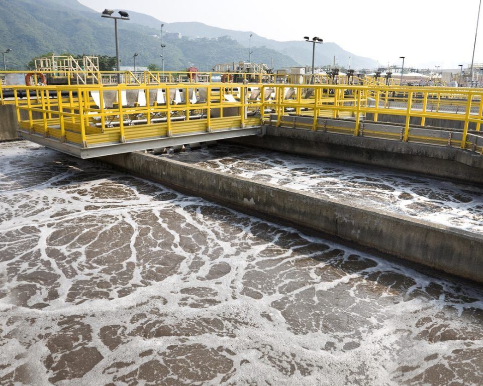 Biological processes