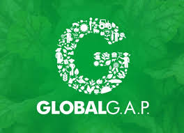 Global GAP Logo