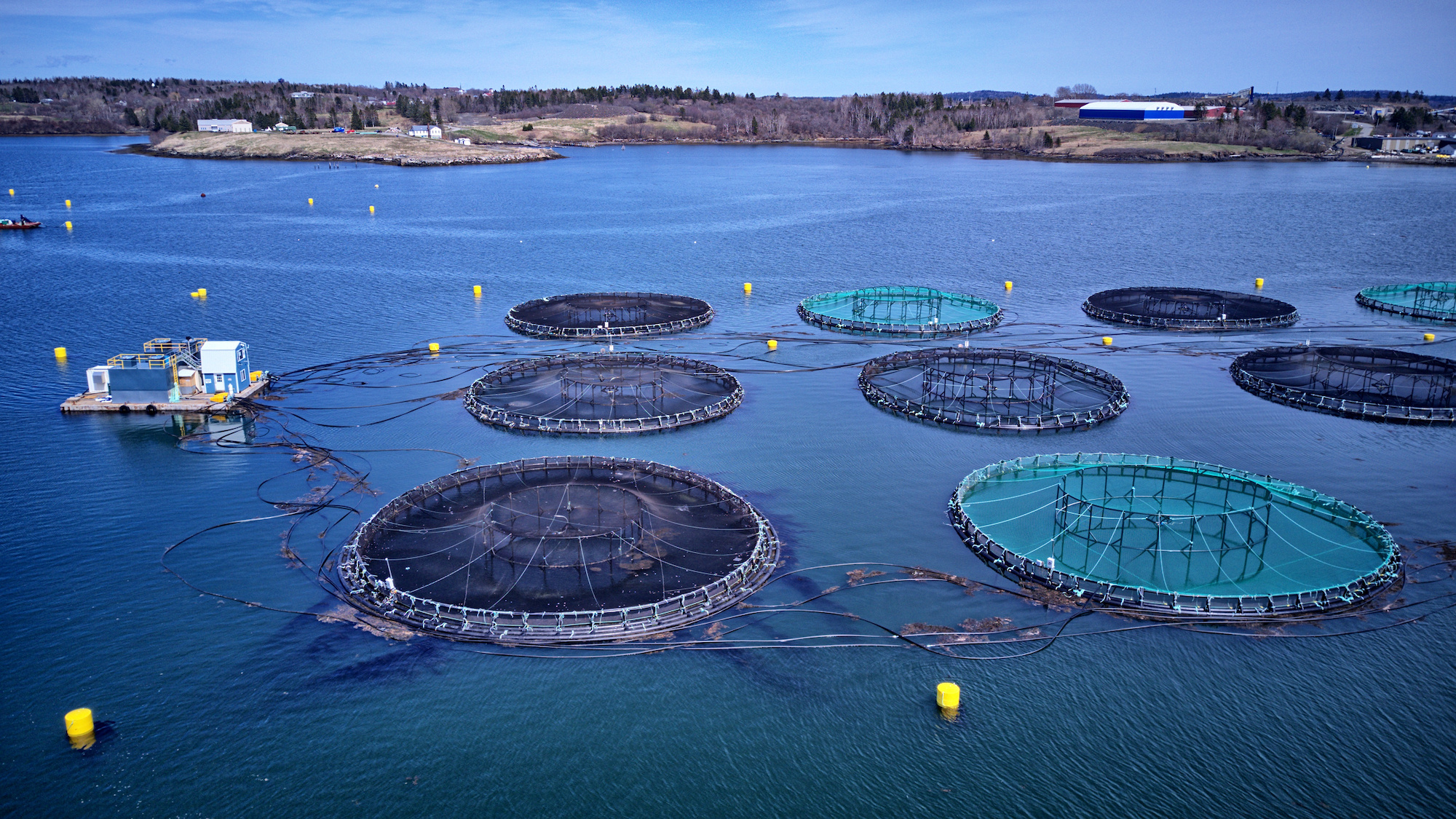 Industries We Serve - Aquaculture