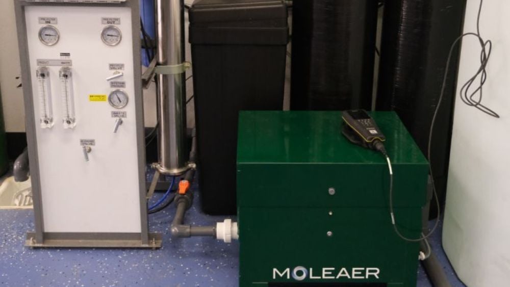 Lotus Installation 2