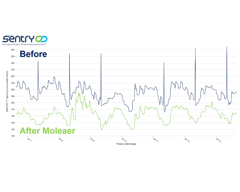 Website Images for WW (1)