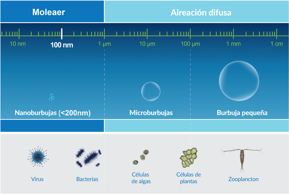 comparación-nanoburbujas