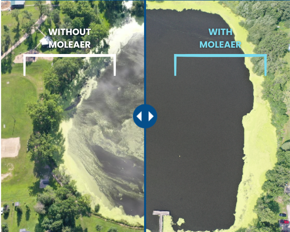 Algae Reduction