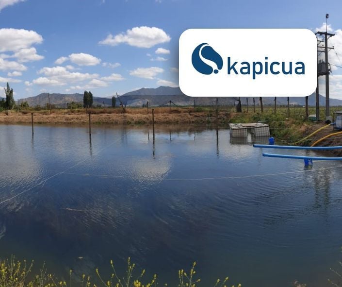 Tranque de riego | Paltos 