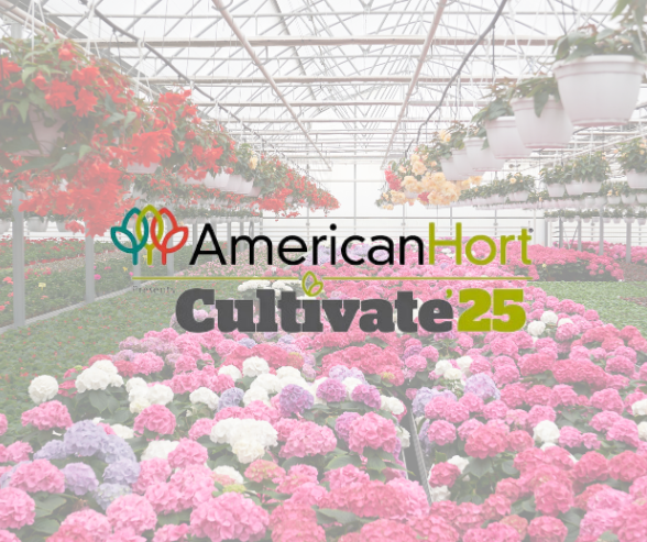 Cultivate 2025