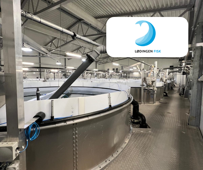 Sección RAS | Lodingen Fisk