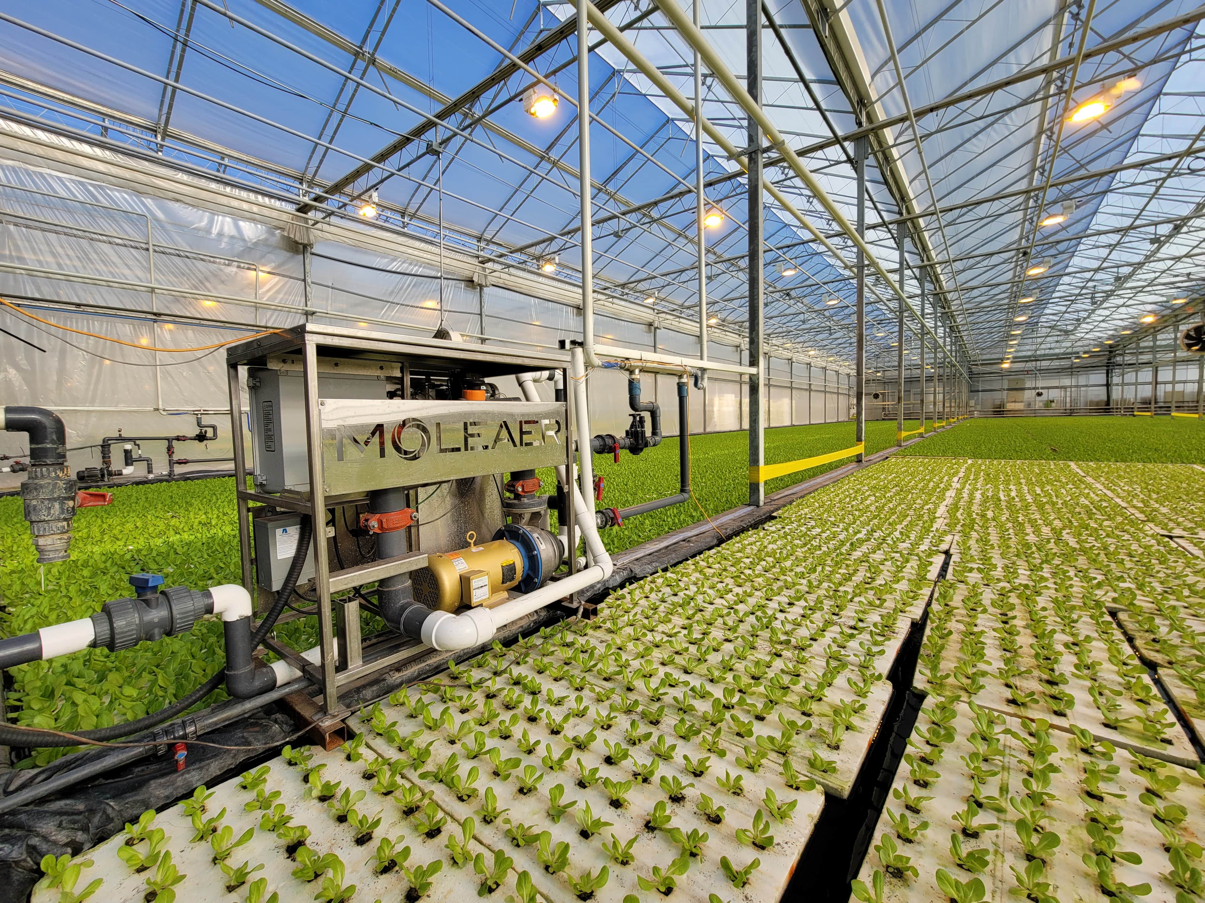 Neo nanobubble generator Installation in Greenhouse