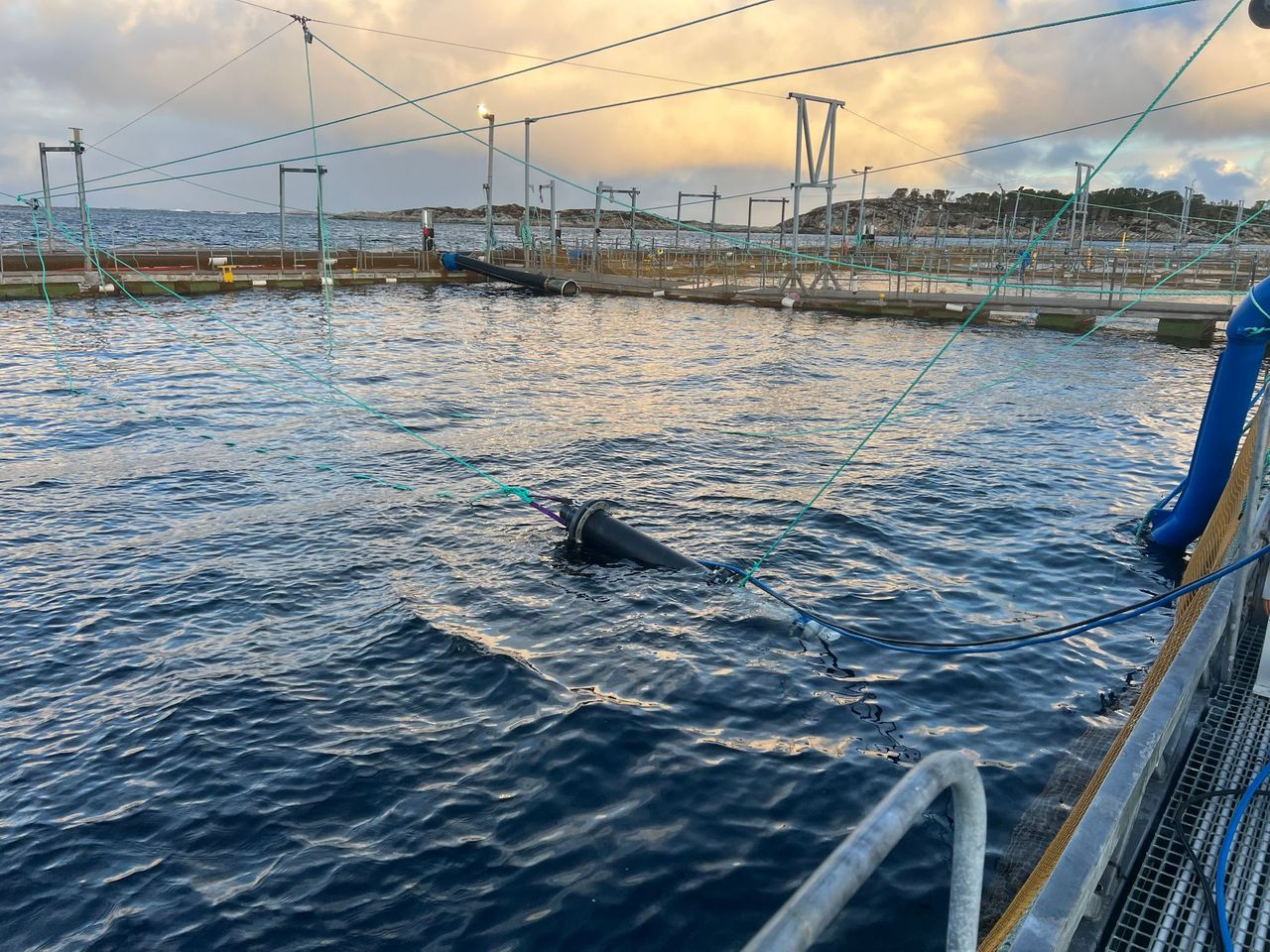 Moleaer Freya nanobubble generator in ocean aquaculture netpen